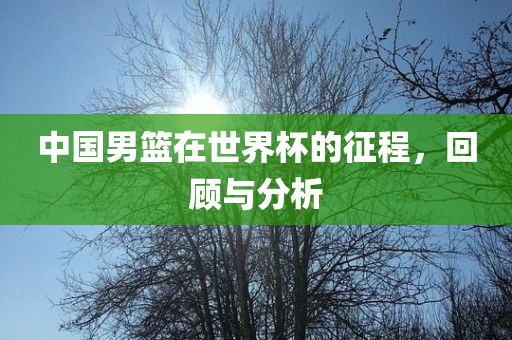 中国男篮在世界杯的征程，回顾与分析