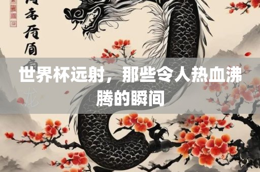 世界杯远射，那些令人热血沸腾的瞬间眉山市正发家政服务有限公司