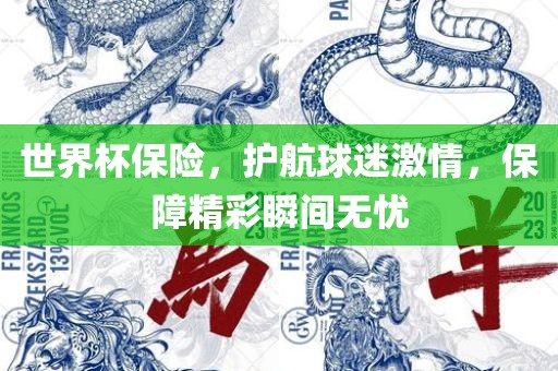世界杯保险，护航球迷激情，保障精彩瞬间无忧眉山市正发家政服务有限公司