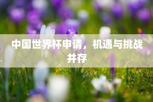 中国世界杯申请，机遇与挑战并存眉山市正发家政服务有限公司
