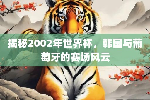 揭秘2002年世界杯，韩国与葡萄牙的赛场风云