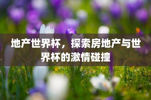 地产世界杯，探索房地产与世界杯的激情碰撞眉山市正发家政服务有限公司