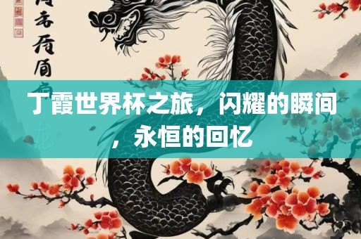 丁霞世界杯之旅，闪耀的瞬间，永恒的回忆