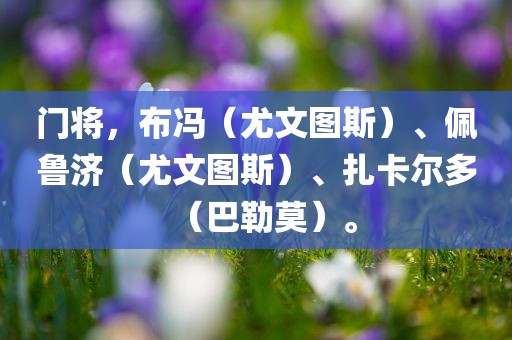 门将，布冯（尤文图斯）、佩鲁济（尤文图斯）、扎卡尔多（巴勒莫）。