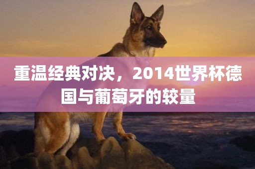 重温经典对决，2014世界杯德国与葡萄牙的较量