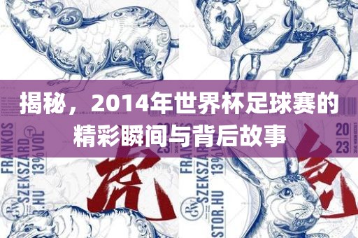 揭秘，2014年世界杯足球赛的精彩瞬间与背后故事眉山市正发家政服务有限公司