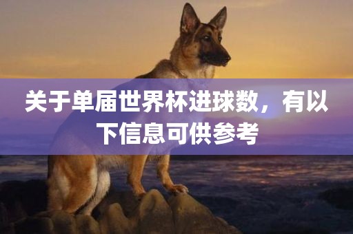 关于单届世界杯进球数，有以下信息可供参考