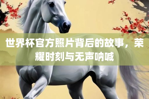 世界杯官方照片背后的故事，荣耀时刻与无声呐喊眉山市正发家政服务有限公司