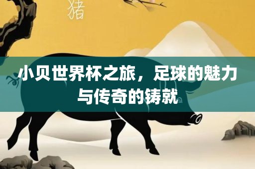 小贝世界杯之旅，足球的魅力与传奇的铸就眉山市正发家政服务有限公司