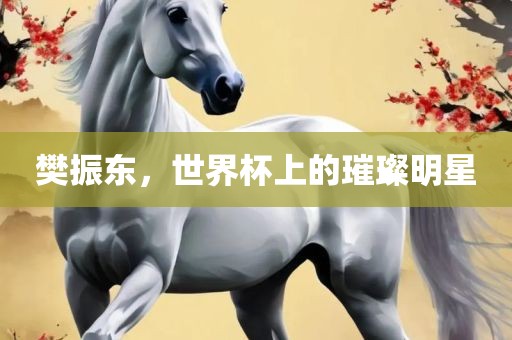 樊振东，世界杯上的璀璨明星