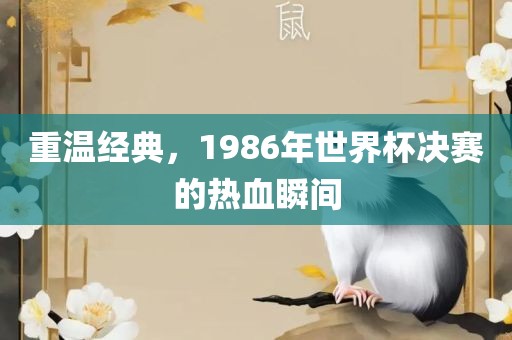 热血瞬间（或经典瞬间）