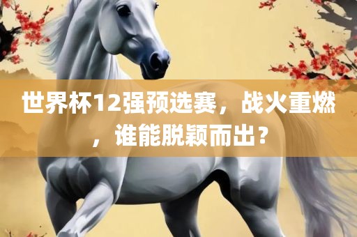 世界杯12强预选赛，战火重燃，谁能脱颖而出？