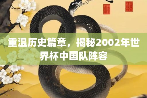 眉山市正发家政服务有限公司重温历史篇章，揭秘2002年世界杯中国队阵容