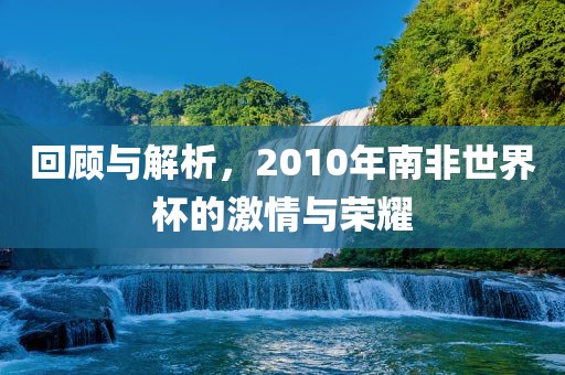 回顾与解析，2010年南非世界杯的激情与荣耀眉山市正发家政服务有限公司
