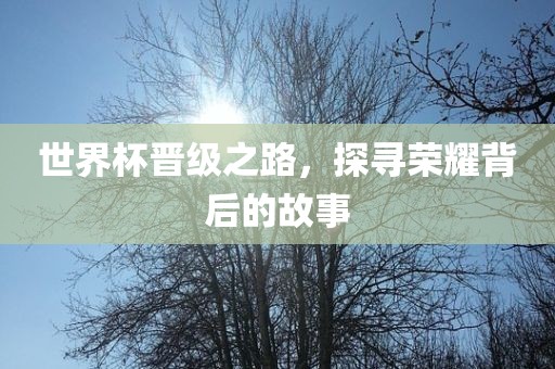 世界杯晋级之路，探寻荣耀背后的故事