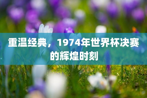 重温经典，1974年世界杯决赛的辉煌时刻眉山市正发家政服务有限公司