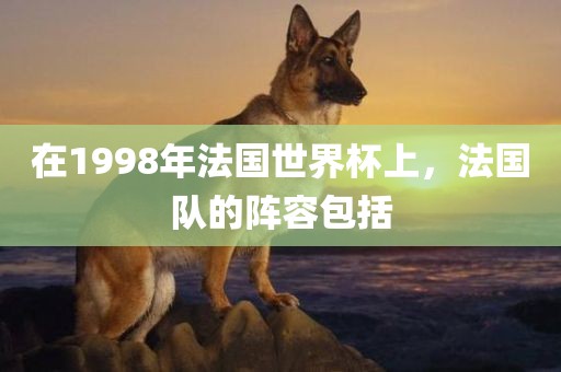 在1998年法国世界杯上，法国队的阵容包括
