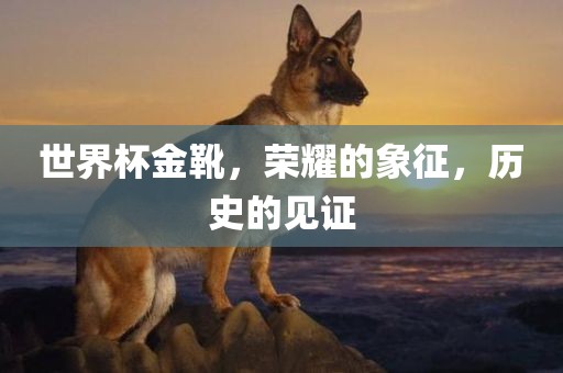 世界杯金靴，荣耀的象征，历史的见证