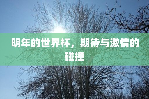 明年的世界杯，期待与激情的碰撞