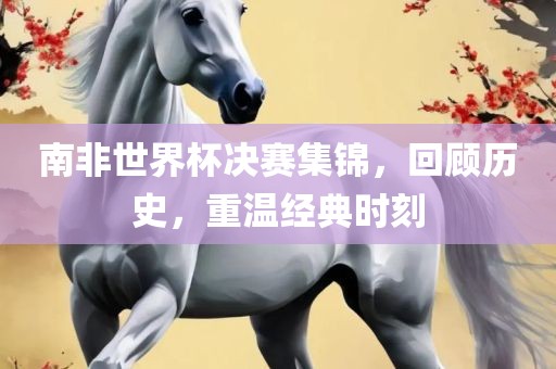 南非世界杯决赛集锦，回顾历史，重温经典时刻