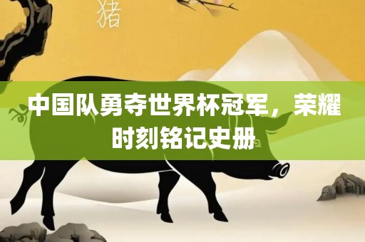 中国队勇夺世界杯冠军，荣耀时刻铭记史册