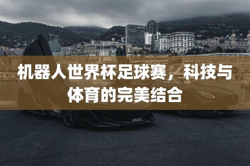 机器人世界杯足球赛，科技与体育的完美结合