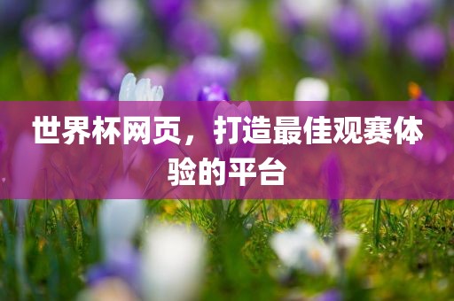 世界杯网页，打造最佳观赛体验的平台