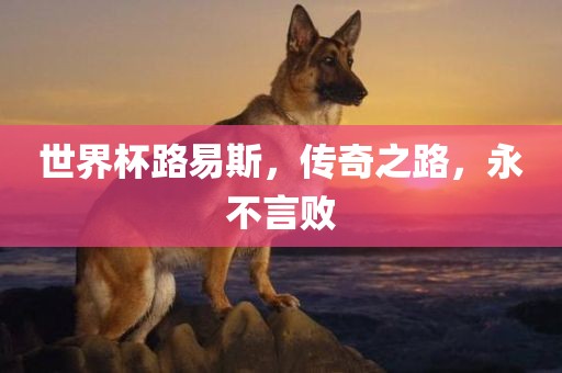 世界杯路易斯，传奇之路，永不言败