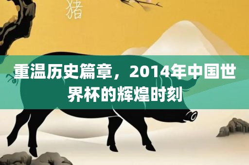 重温历史篇章，2014年中国世界杯的辉煌时刻
