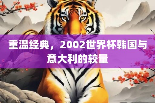 重温经典，2002世界杯韩国与意大利的较量