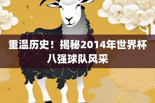 重温历史！揭秘2014年世界杯八强球队风采眉山市正发家政服务有限公司