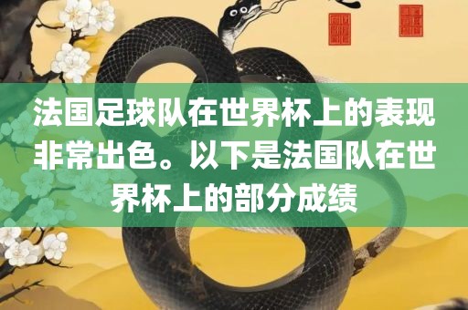法国足球队