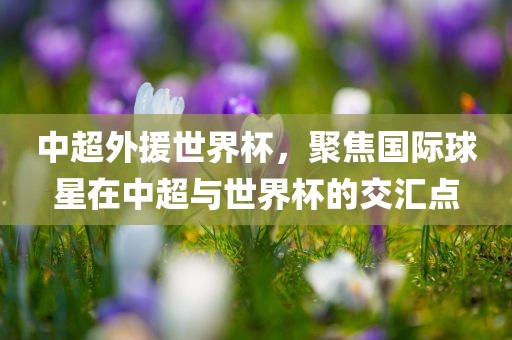 中超外援世界杯，聚焦国际球眉山市正发家政服务有限公司星在中超与世界杯的交汇点