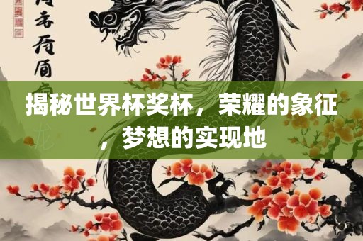 揭秘世界杯奖杯，荣耀的象征，梦想的实现地