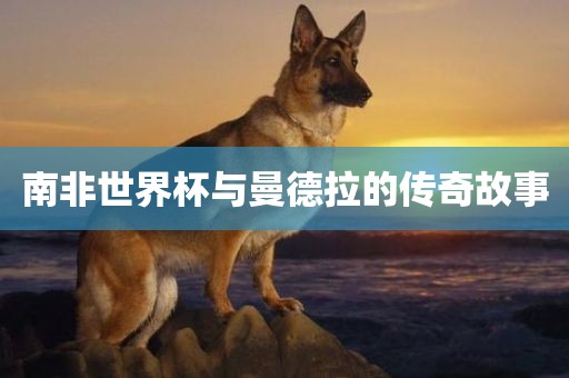 南非世界杯与曼德拉的传奇故事眉山市正发家政服务有限公司