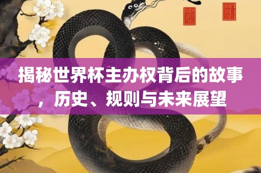 规则与未来展望
