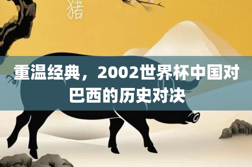 重温经典，2002世界杯中国对巴西的历史对决