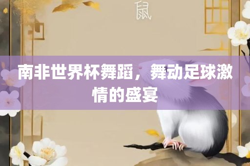 南非世界杯舞蹈，舞动足球激情的盛宴