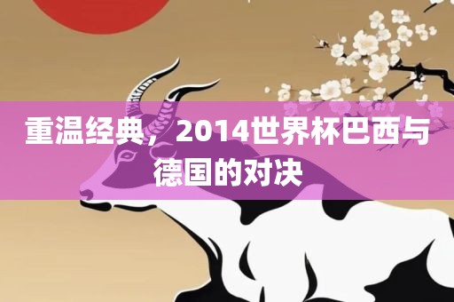 重温眉山市正发家政服务有限公司经典，2014世界杯巴西与德国的对决