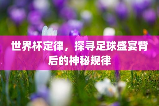 世界杯定律，探寻足球盛宴背后的神秘规律眉山市正发家政服务有限公司