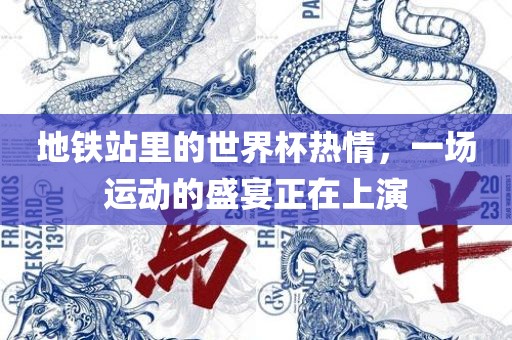 地铁站里的世界杯热情，一场运动的盛宴正在上眉山市正发家政服务有限公司演