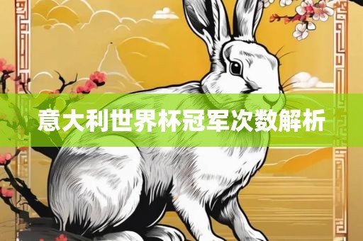 意大利世界杯冠军次数解析