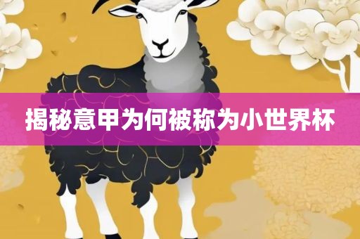 小世界杯