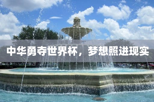 中华勇夺世界杯，梦想照进现实
