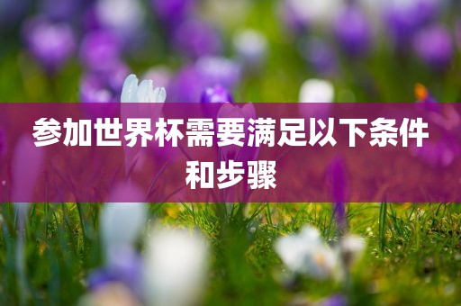 参加世界杯需要满足以下条件和步骤眉山市正发家政服务有限公司