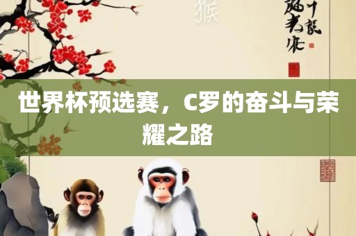 世界杯预选赛，C罗的奋斗与荣耀之路眉山市正发家政服务有限公司