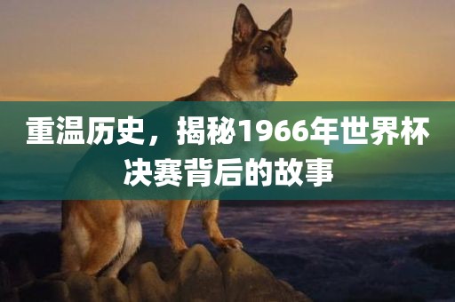 重温历史，揭秘1966年世界杯决赛背后的故事