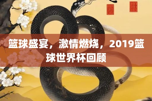 篮球盛宴，激情燃眉山市正发家政服务有限公司烧，2019篮球世界杯回顾