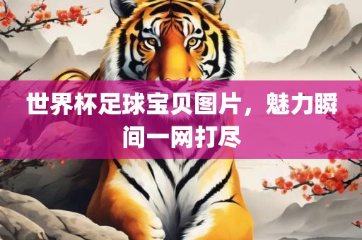 世界杯足球宝贝图片，魅力瞬间一网打尽