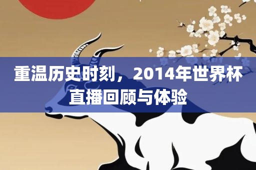 重温历史时刻，2014年世界杯直播回顾与体验